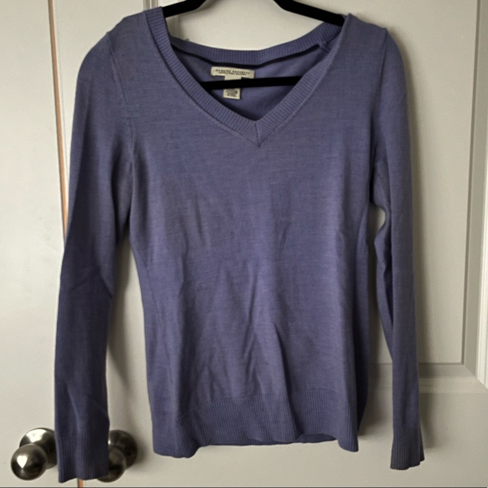 Banana Republic V-neck Marino sweater